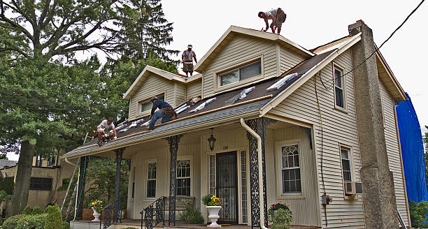 Gutter Installation and Roofing in Richton, MS
