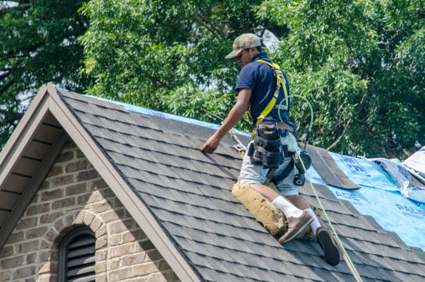 Professional Roofing Contractor in Richton, MS
